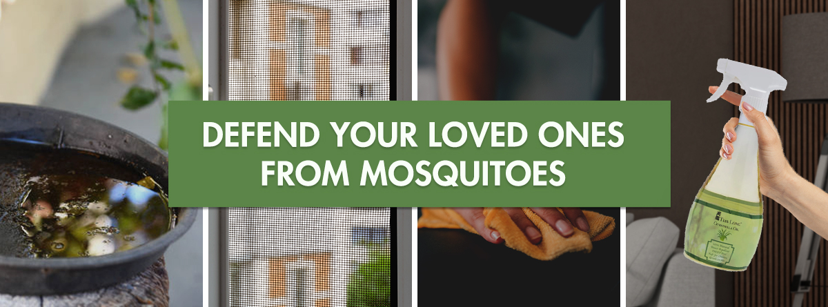 4 Ways You Can Defend Your Home from Mosquitoes